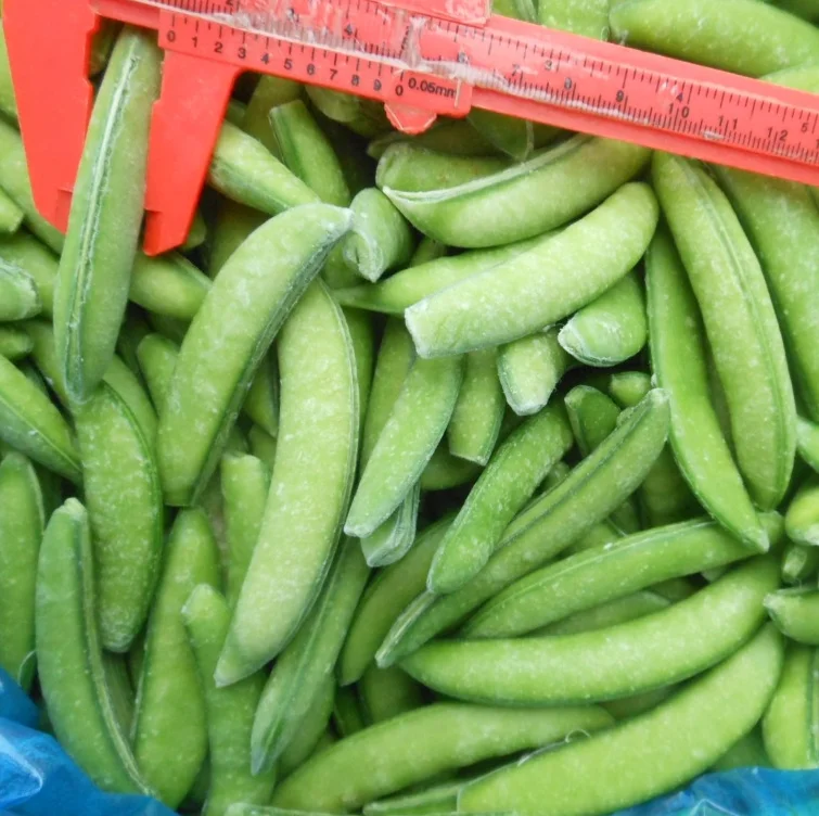 Best Quantity Green Product Supply BRC Certificate IQF Frozen Vegetable Pea Pods
