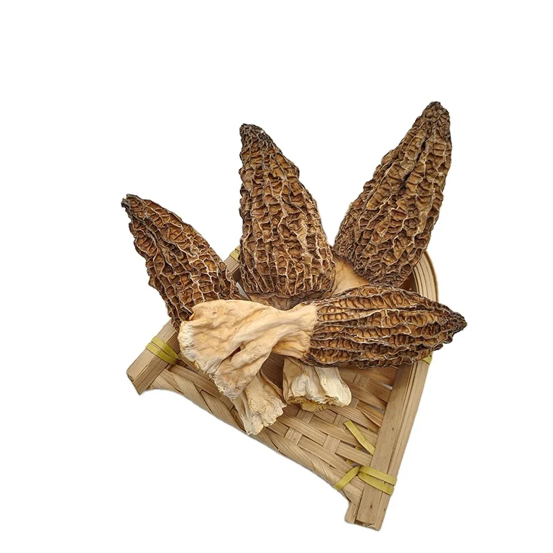 Wholesale Dried Morel Mushrooms Wild Morel black morels Mushrooms Dried Morchella Esculenta