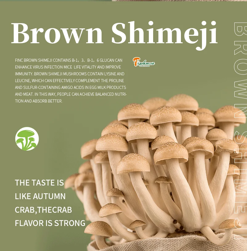 Agricultural Vegetables 3kgs fresh brown shimeji mushrooms