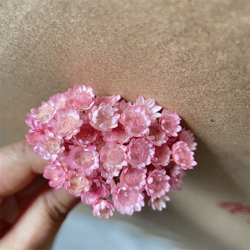 Brazilian natural dried small star flower small chrysanthemum for gift