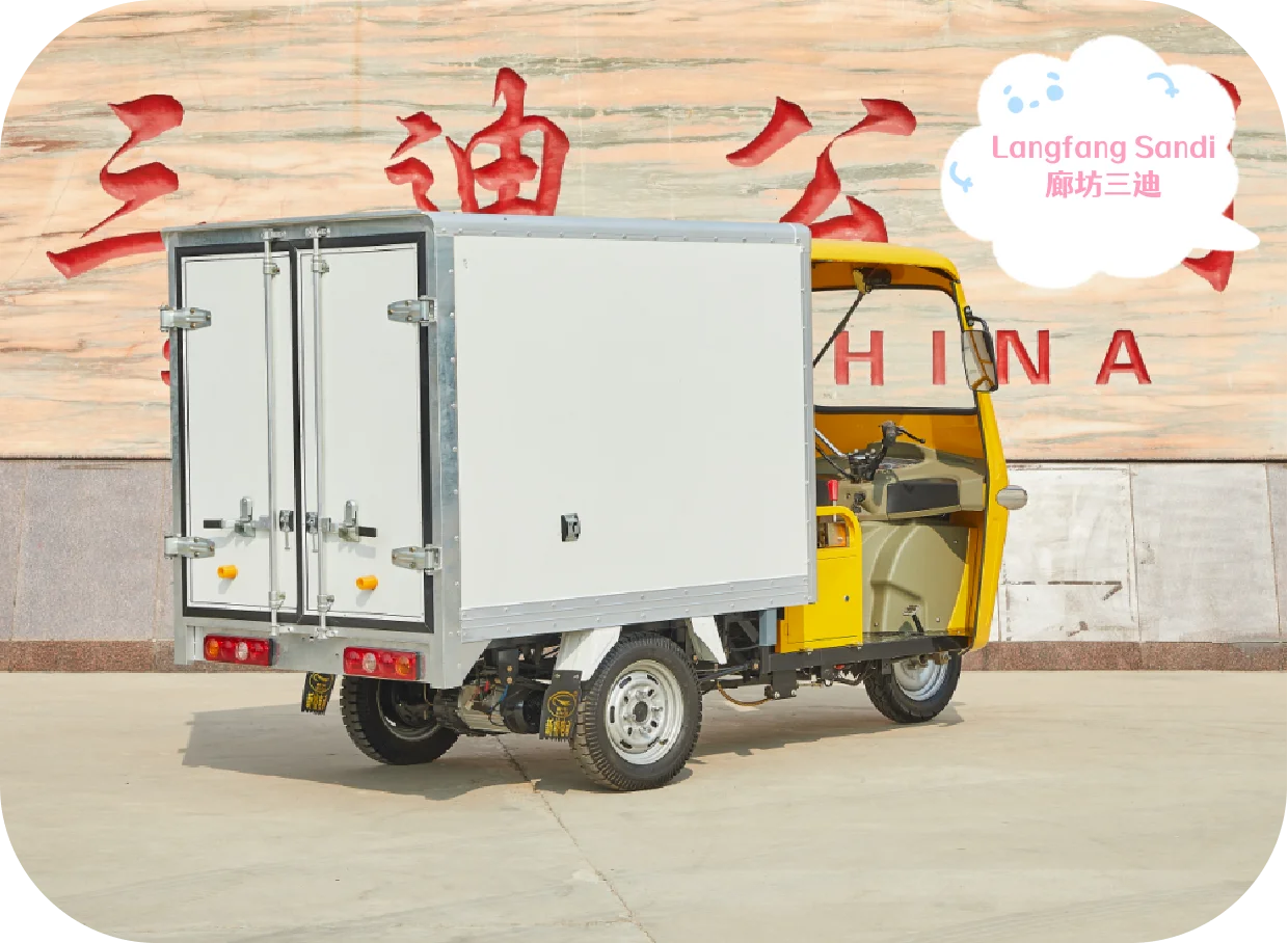 Electric Powered Tuk Tuk Bajaj India Thailand Big Size E Bike 3 Wheels Adult Electric Delivery Tricycle