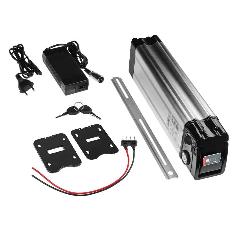 Silver fish 24V 10ah 13Ah 20Ah Electric EBike 36V 48V ebike Battery