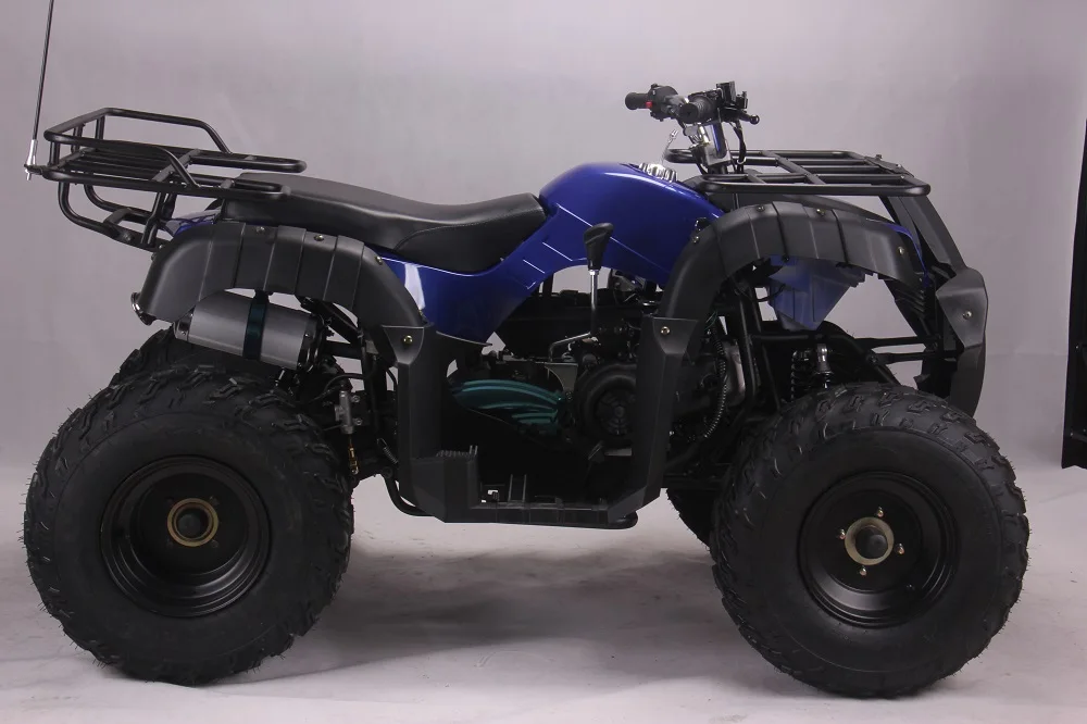 4 Wheel Motorcycle Quadrocycle 250CC Mini ATV
