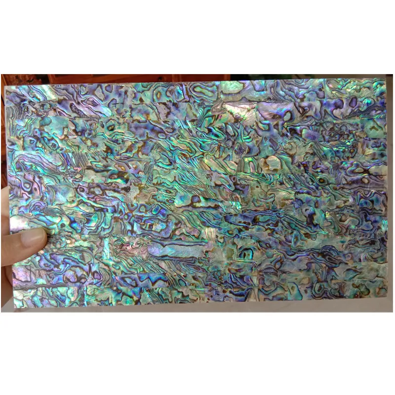 Special price mexico abalone shells decorative paper wholesale