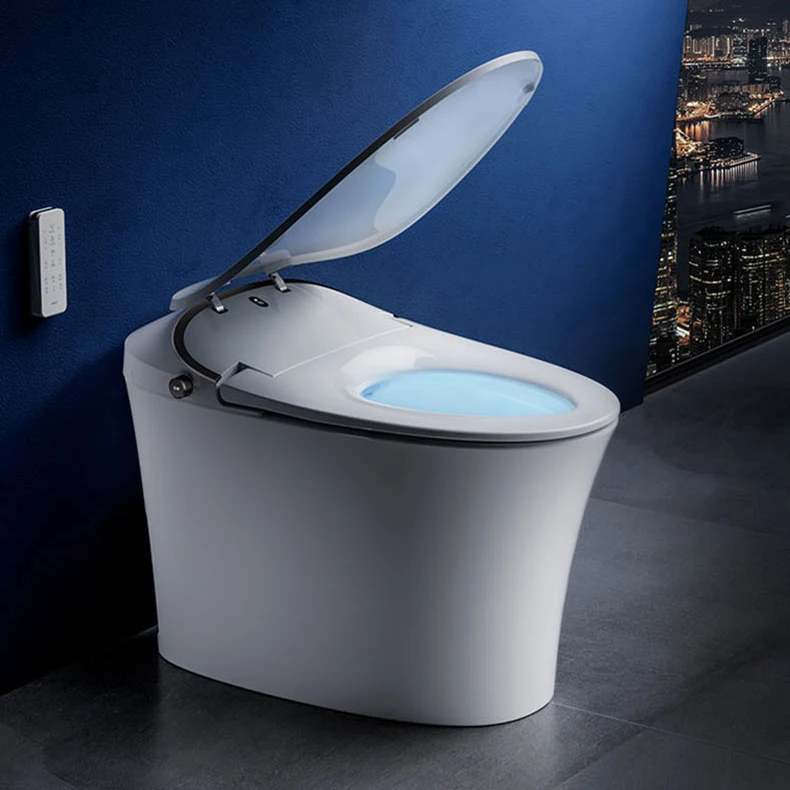 HEGII OEM Hot buy hotel 220v ceramic smart wc toilet intelligent top brand for Southeast Asian market wc_toilet