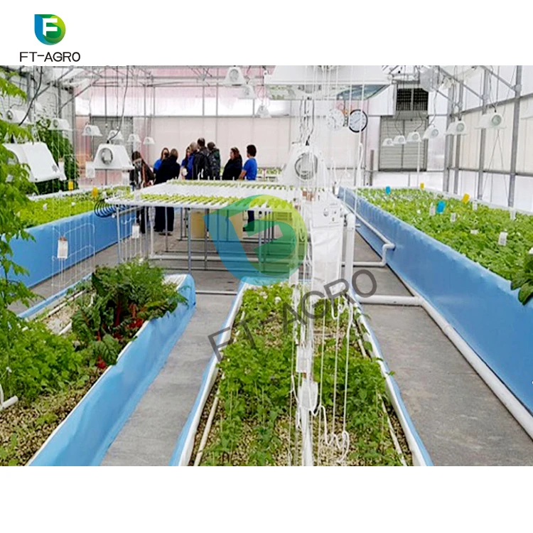 Fish and vegetable symbiosis greenhouse for sale