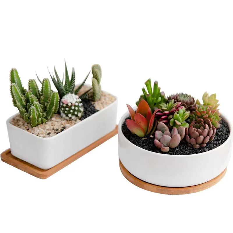 Hot Sale Various Styles White Ceramic Flower Pots Planters Ceramic Plant Succulent Pot with Tray