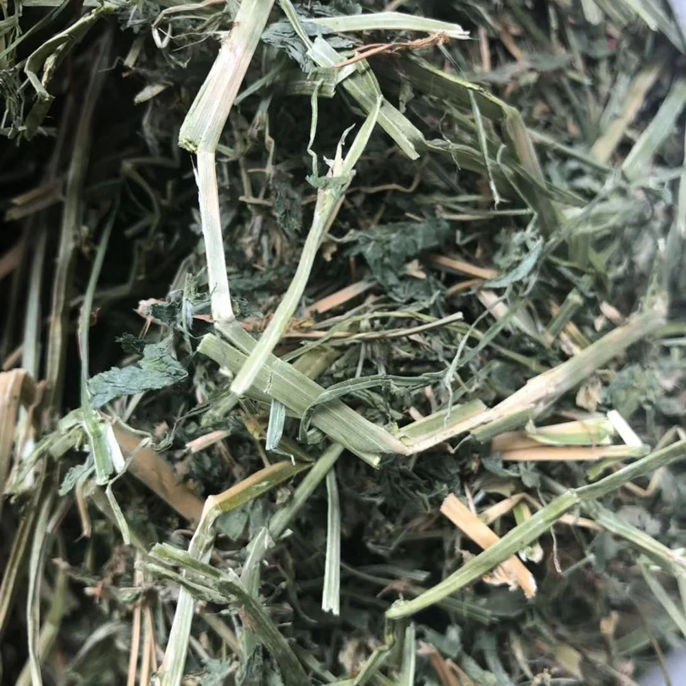 
American Good Quality Alfalfa Hay Timothy Hay Oaten Hay for Sale 