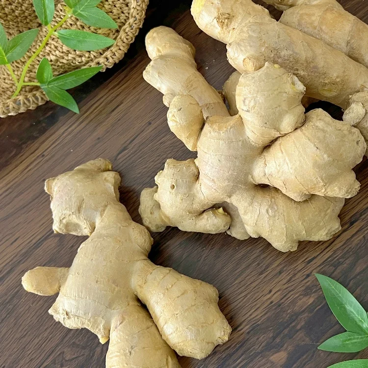 Fresh china ginger wholesale high quality fresh and air dry ginger on sale