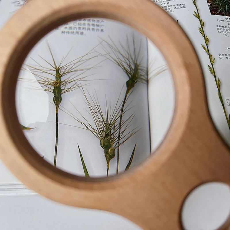 Portable Wooden Pocket Small Mini Handheld Kids Magnifying Glass Toy