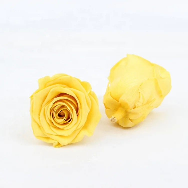 Factory supply A grade stabilized eternity rose flower head white color 4-5cm preserved roses head from KunMing