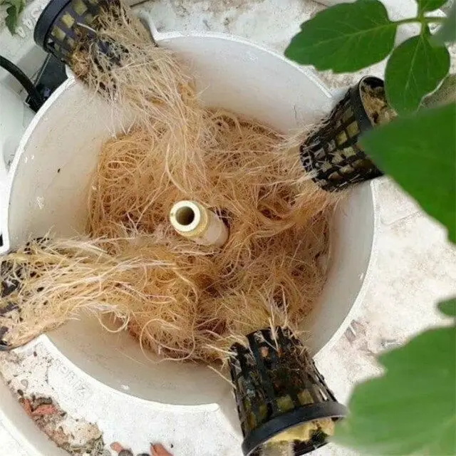 For home use automatic watering hydroponic clone machine hydroponic nursery pot 6p7/6P10  aeroponic towers