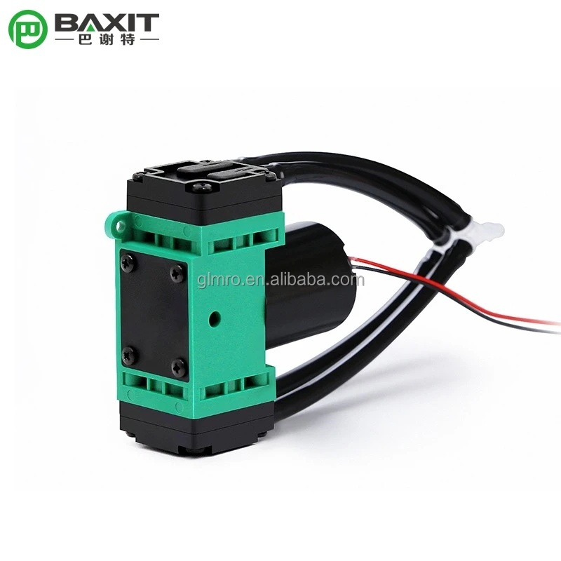 DC24V G2BK2468-2T Parallel Double Headed Diaphragm Pump Gas Vacuum Sampling pump