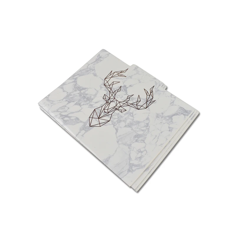 
High Quality Custom Wholesale file folder cardboard 