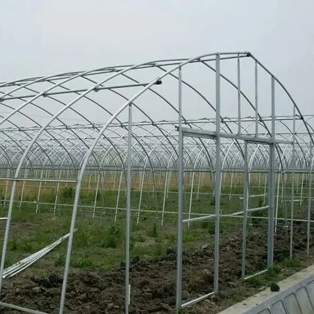 Hot Sale Hydroponic Growing Systems For Agricultural Winter High Temperature Steel Frame Greenhouse