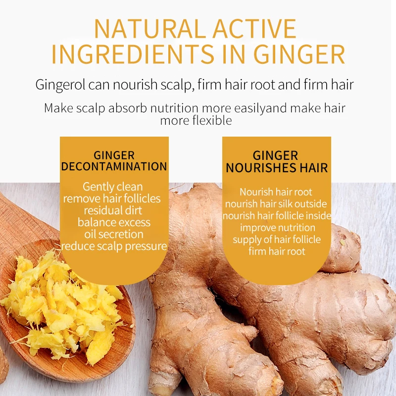 Farger Hot Sales Moisture and Smooth Ginger Nourishing Hair Shampoo 500ml Unisex Adults Picture 10 Pcs Oil Control Welcomed