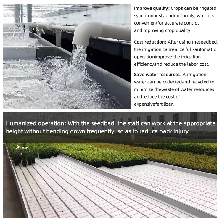Commercial Hydroponic Systems Fruits Greenhouse Grow Table Ebb And Flow Rolling Tables/Bench With Flood Trays