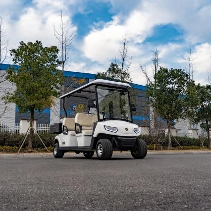 Leroad 4-местный Электрический гольф-мобиль с легкой наборы