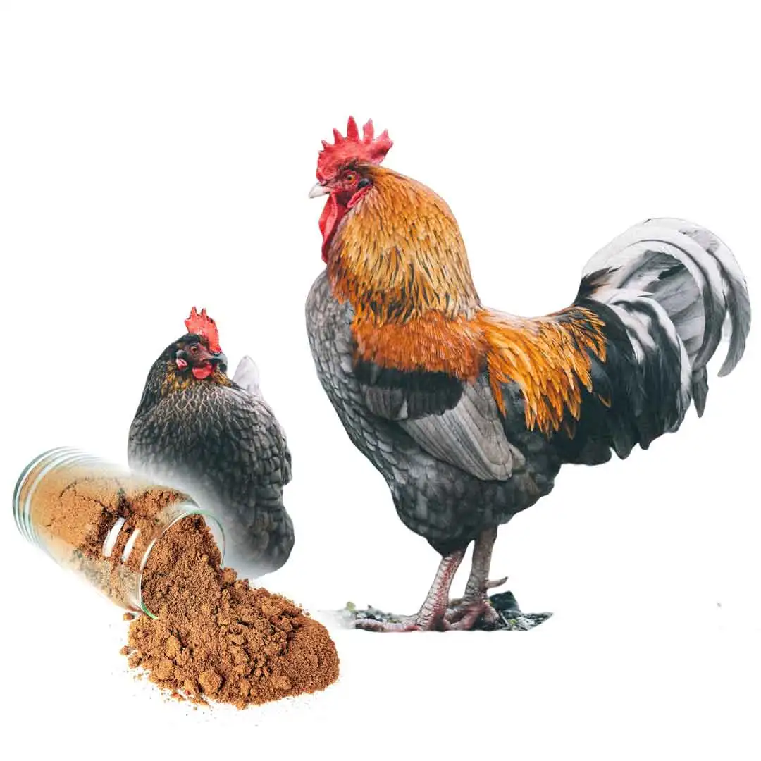 Dogs Application Dog Food