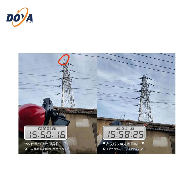 300 W 500 W 1000 W Kannettava kuitulaser esteenpoistolaite puiden poistamiseen tarkoitettu laite