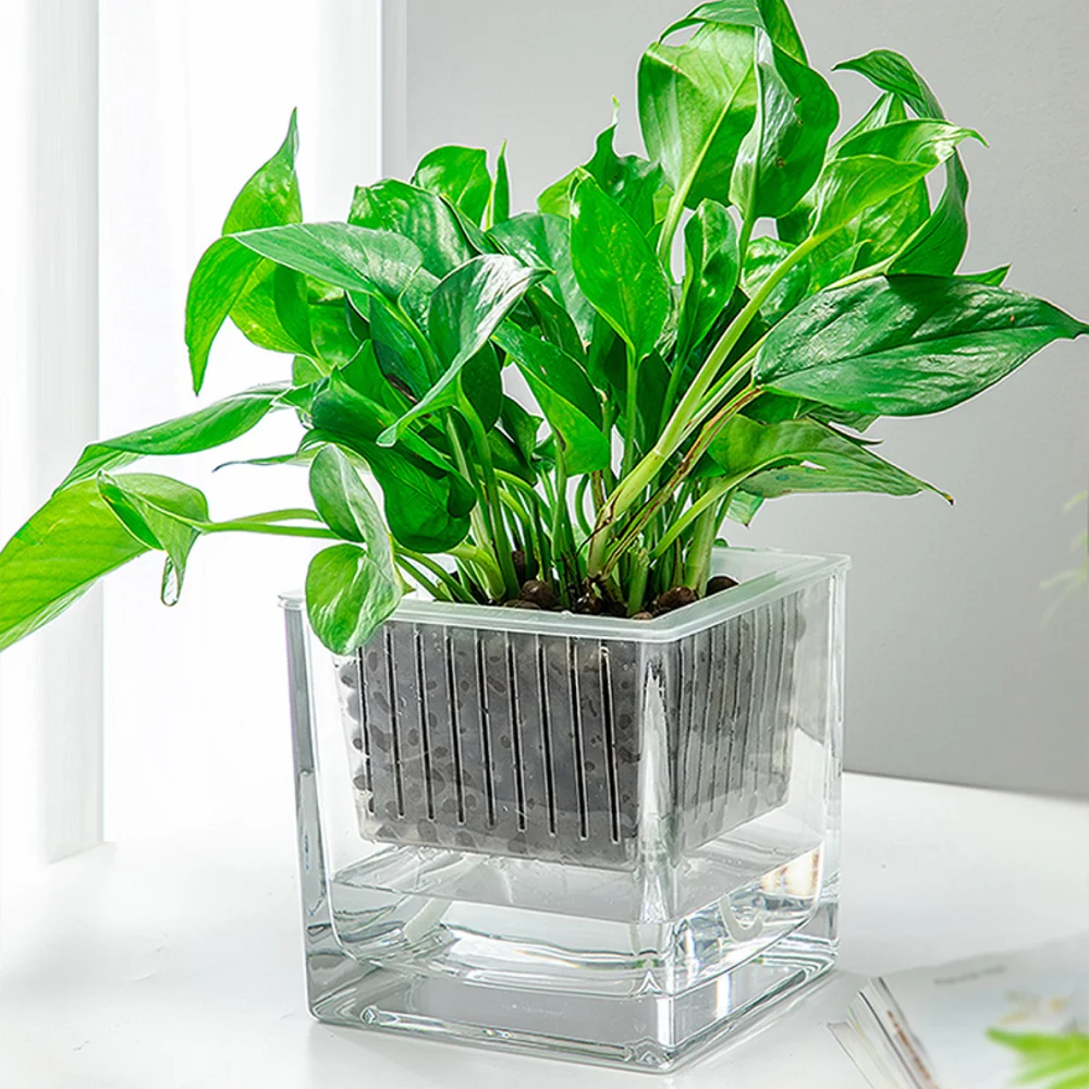 Aeofa Transparent square Vase ornament of glass hydroponic container square glass vase