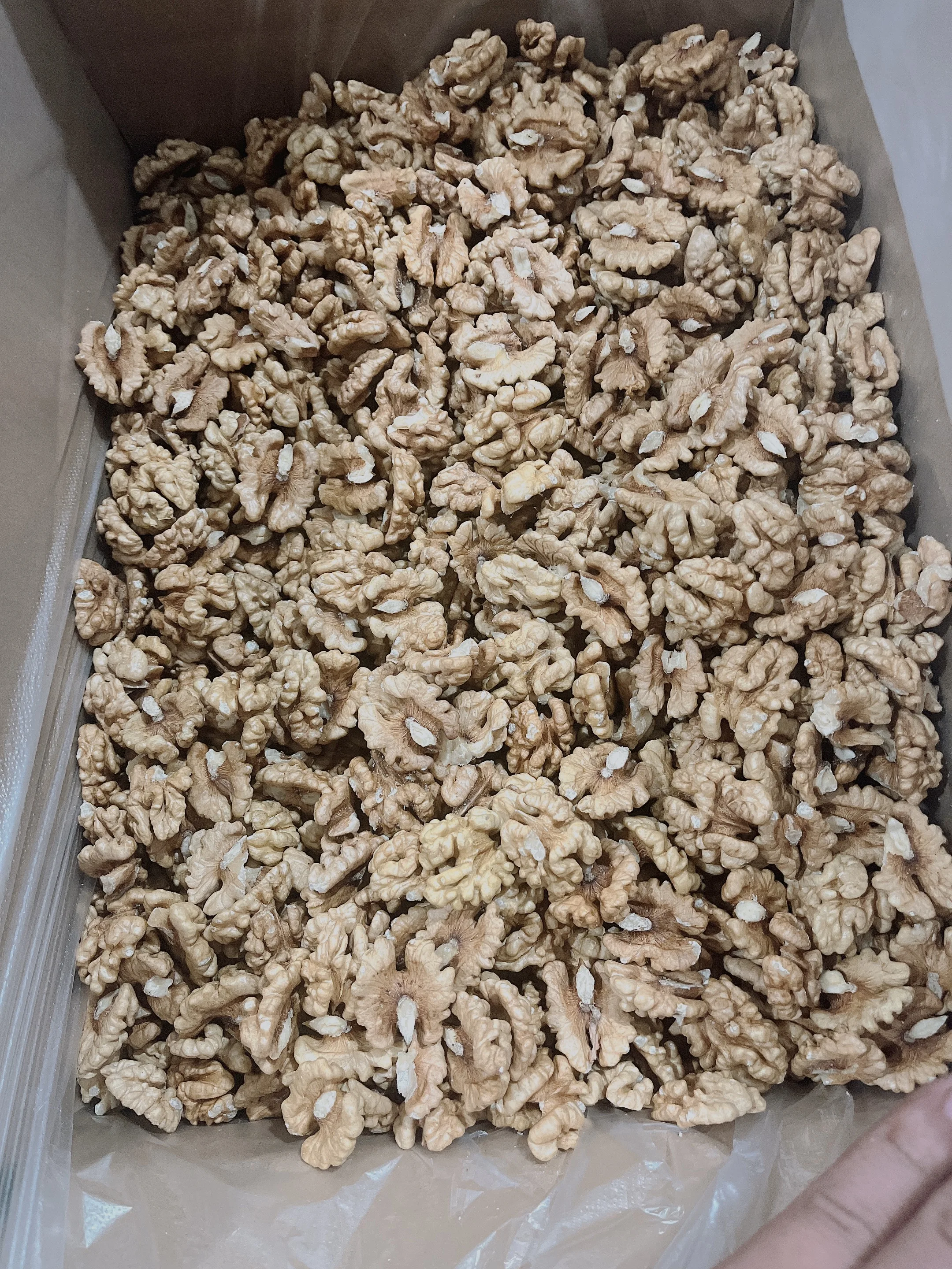 Thin Shell Fresh Delicious Nutrition Chinese Walnut Kernel