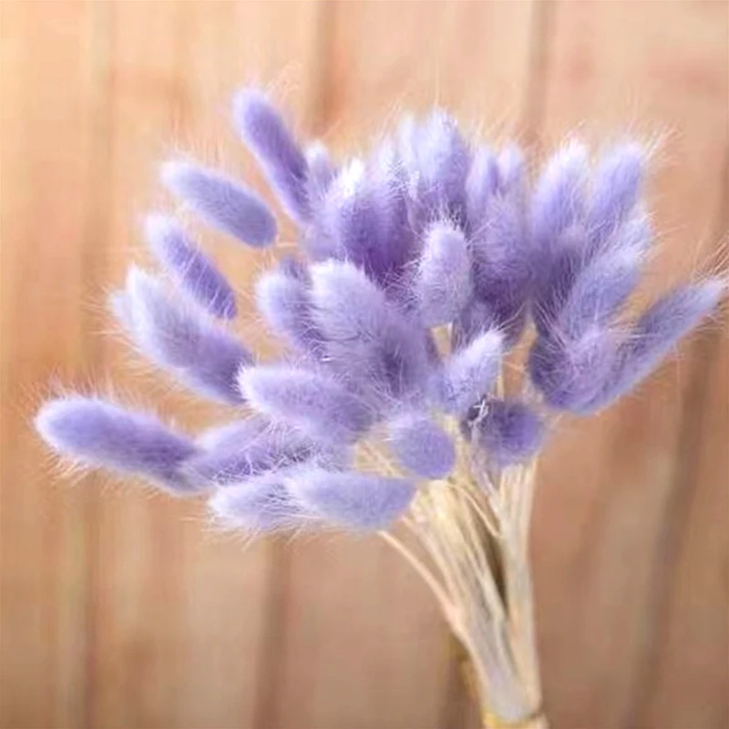 China factory wholesale custom white faux lagurus ovatus natural dried flowers dry bunny tails grass