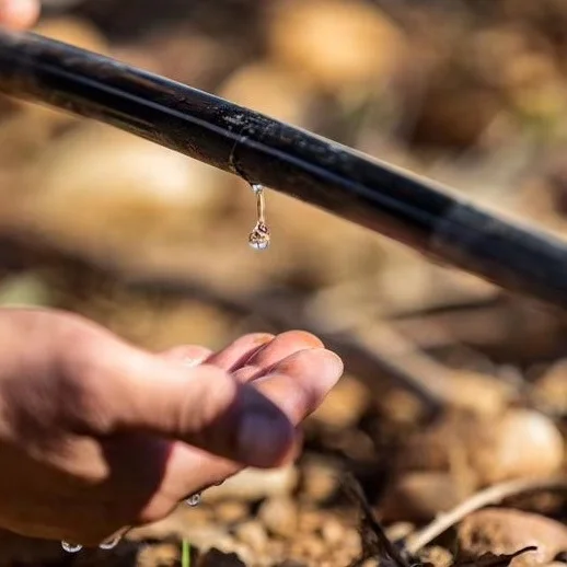 Pandora Drip Micro Tape 16mm Drip Irrigation System Hose Drip Pipe Tape