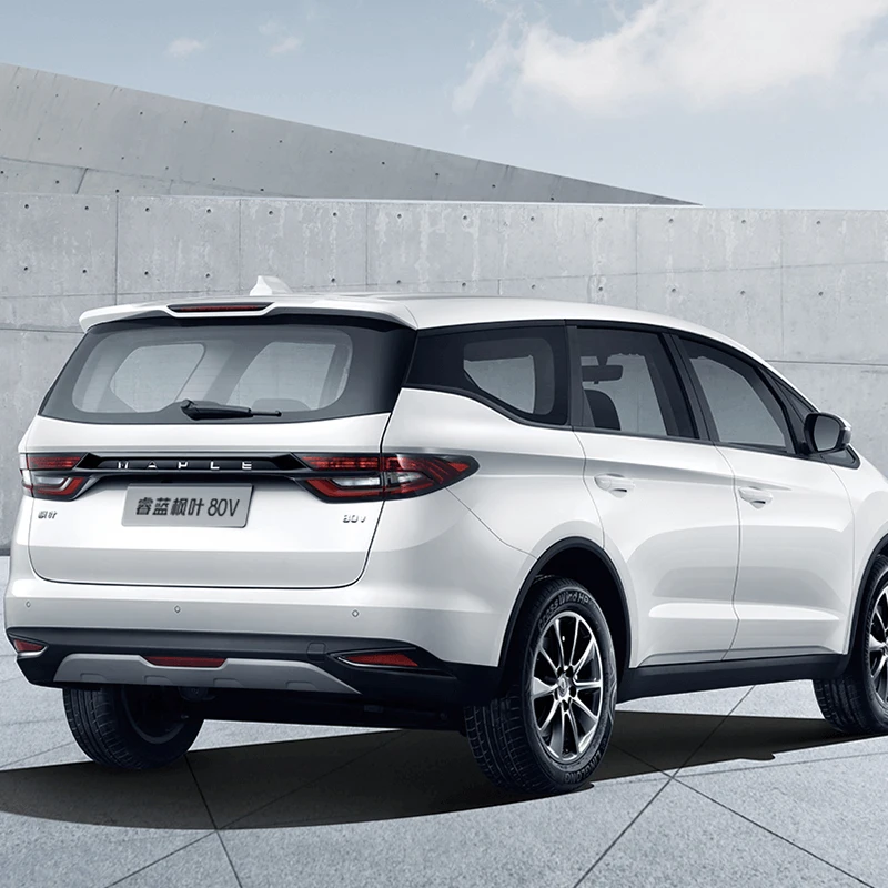 LIVAN 80V Low Price Auto Customised Used Brand New Suv Car Electric Vehicles Made In China