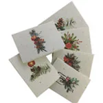 christmas card-regular.jpg