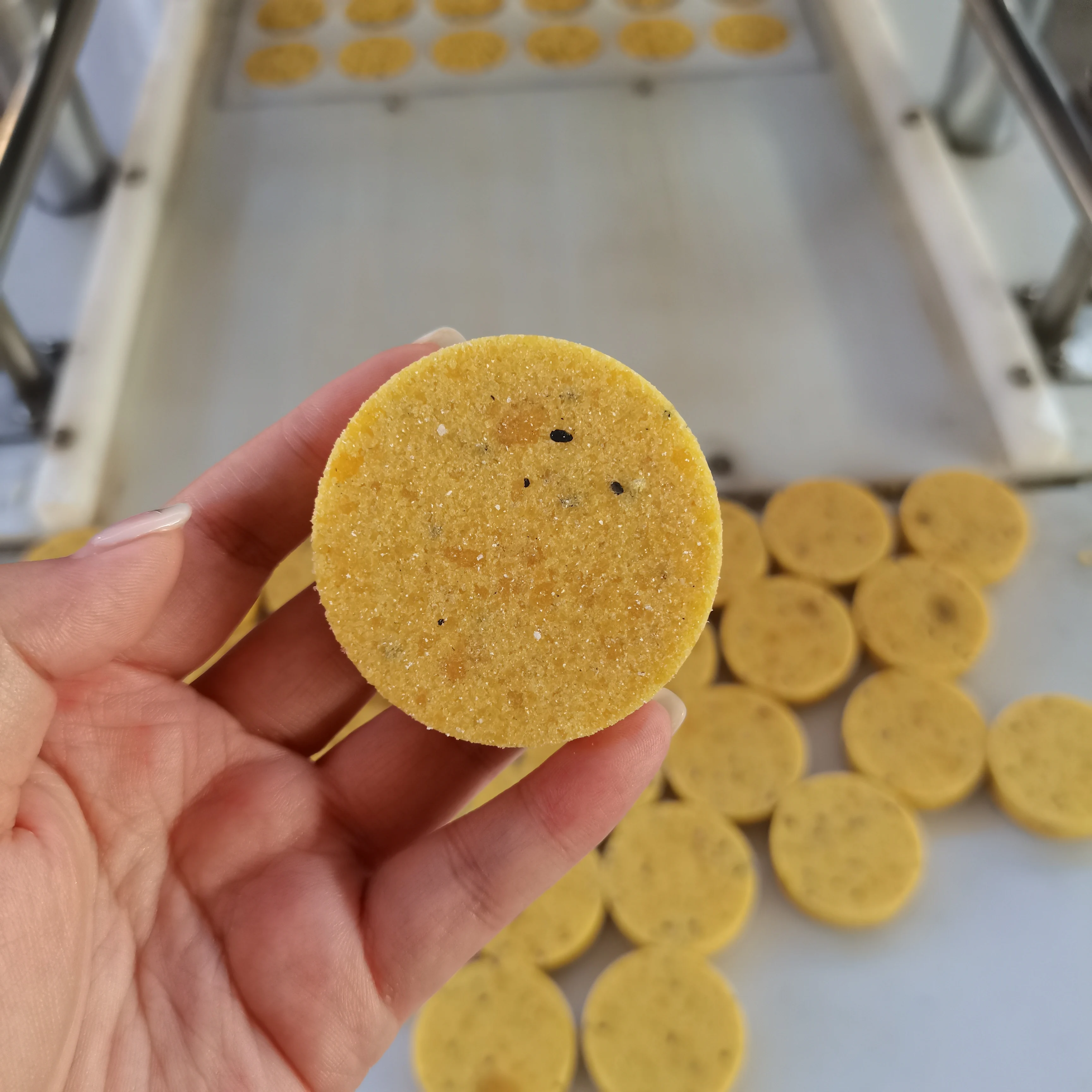 Vegan Maggi Seasoning Broth Soup Cubes Maker Instant Shrimp Bouillon Machine for Sale