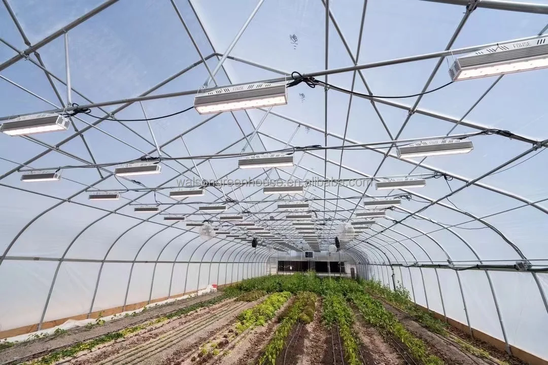 Economic tunnel tomato greenhouse with shading net film green house