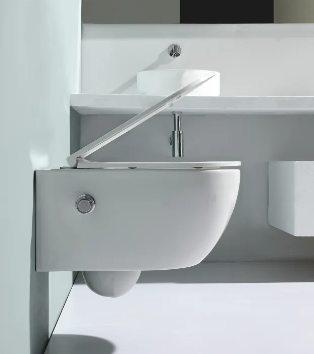 Wall Hung Toilet Concealed Cistern Push Button Rimless Wall Mounted Toilets With Bidet