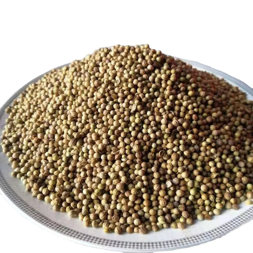 
 Лучшая цена на высококачественные органические семена кориандера  