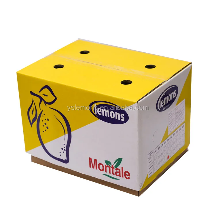 Green Yellow Lemon Organic Rich Citrus Food Eureka Lime Worldwide Supply ODM