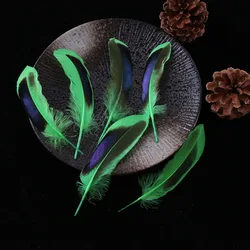 Wholesale dyed duck feathers 10-15CM DIY fashion designer handmade Dreamcatcher clothing decorative craft decoration