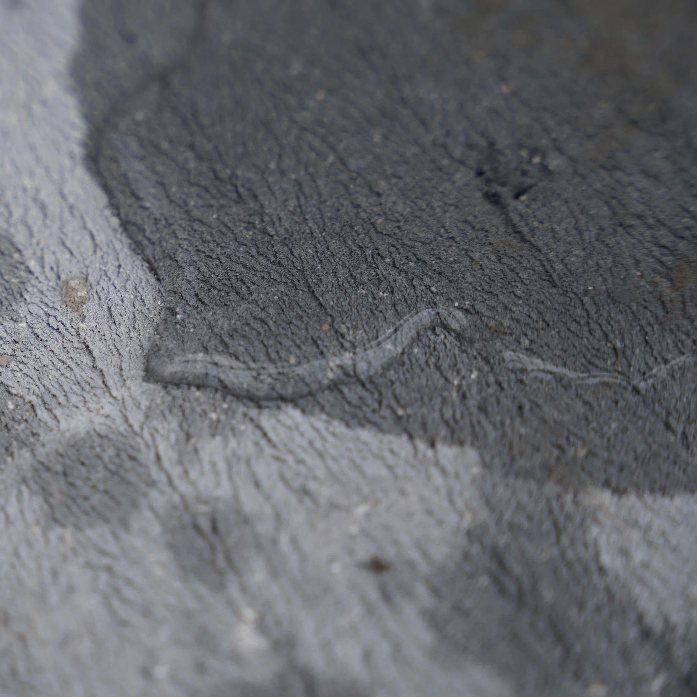 Hot Sale Durable Roof Architectural Coatings Nano Ceramic Waterproof Coating