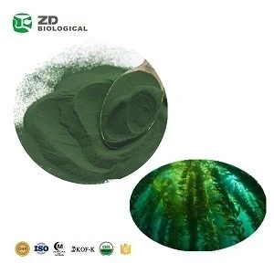 Food Grade Customize Private Label Nutrition Supplement Organic High Protein Spirulina Tablet 250/500mg