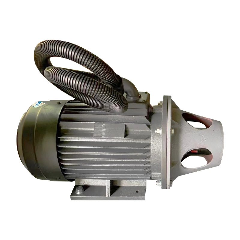 Customized 380V 50HZ/60HZ Motor For Oilless Air Compressor