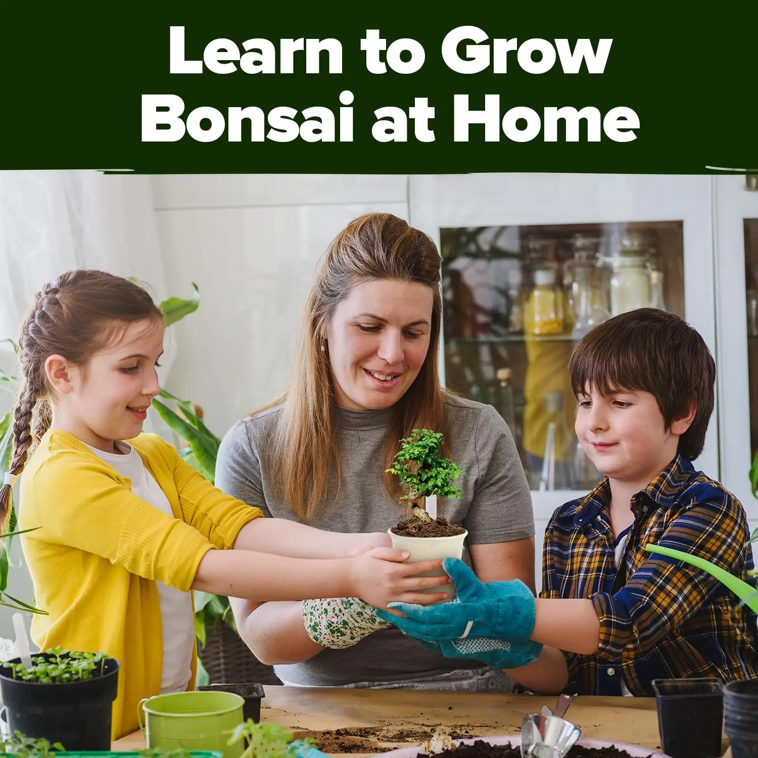 Bonsai Tree Kit with Complete Plant Growing Tools Grow in Pot Indoor Bonsai Tree Starter Kit Home Gardening DIY Gift for Adult