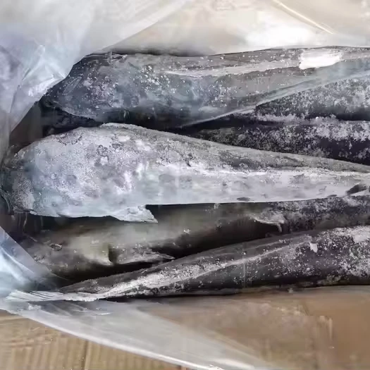 Целый круглый замороженный сом WR хорошего качества