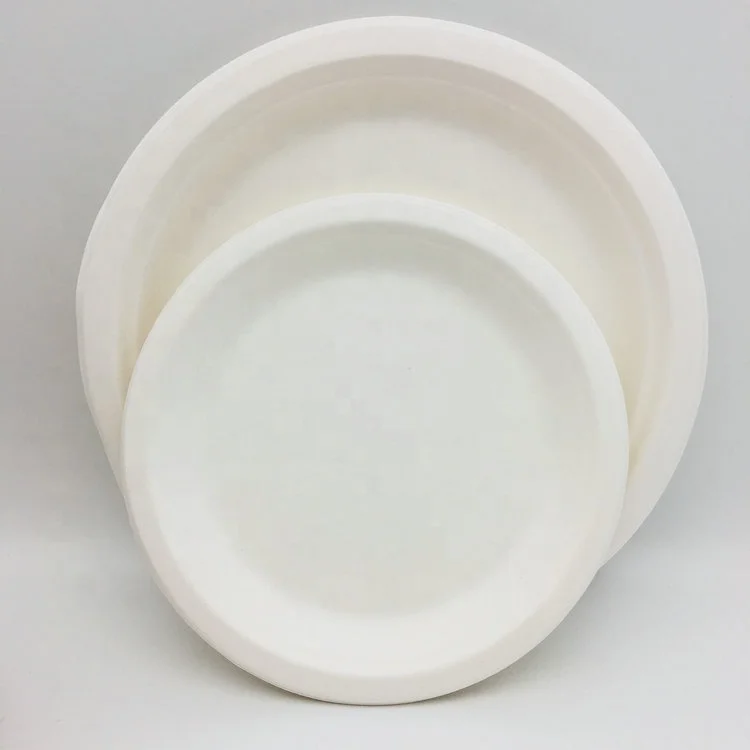 HeePack 9 inch Biodegradable Round Natural Plate Zero Waste Disposable Bagasse Dinner Plate Sugarcane Tableware