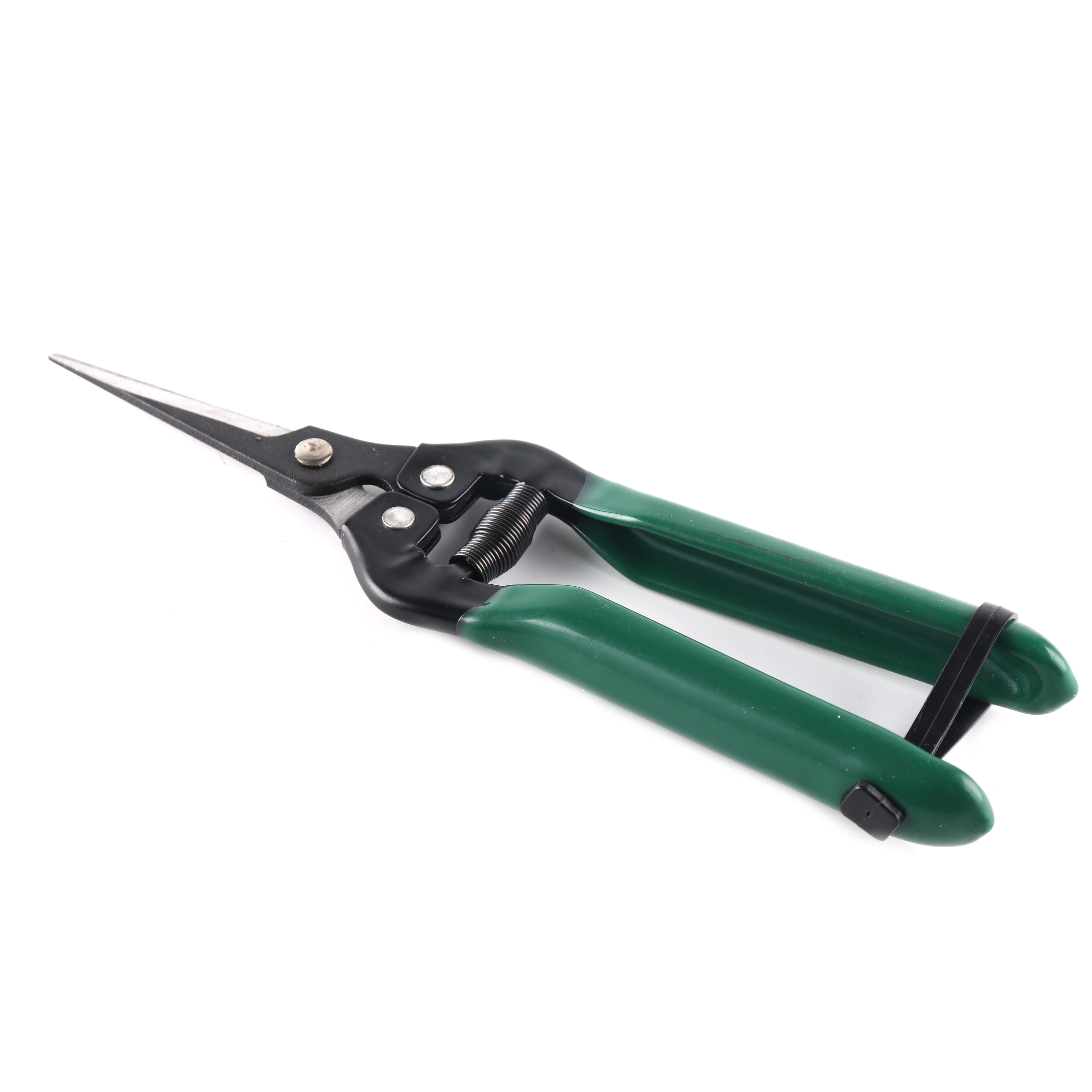 Factory Small Plant Tools Grape Fruit Orchard Grafting Trimming Garden Scissors for Flower Iron Powder Coating Rubber 10 Pcs