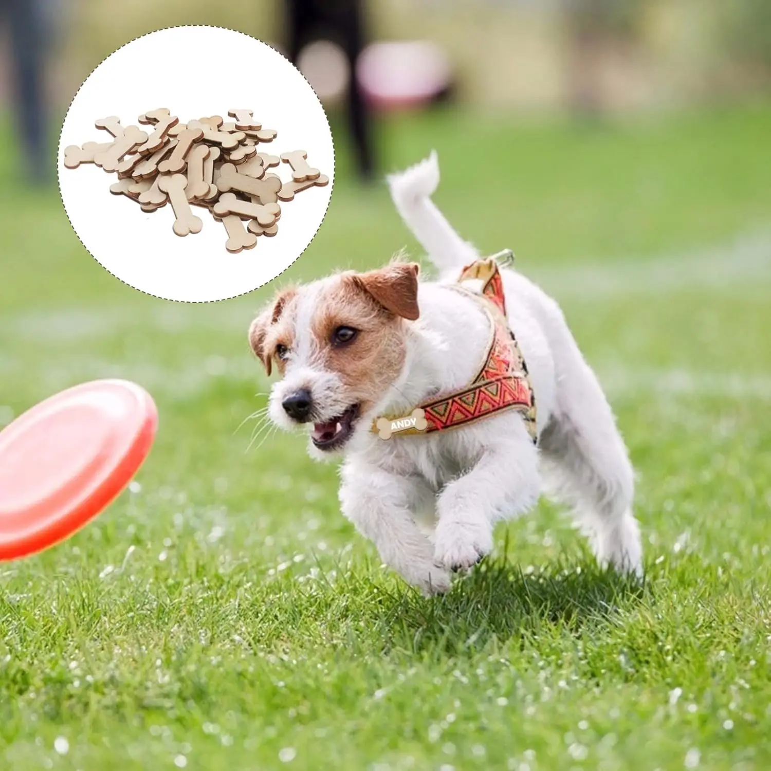 Tabletop Decoration 50 Pieces Wooden Dog Bones Hollow Out Unfinished Wooden Dog Bones Slices Blank Bone Wooden Decoration