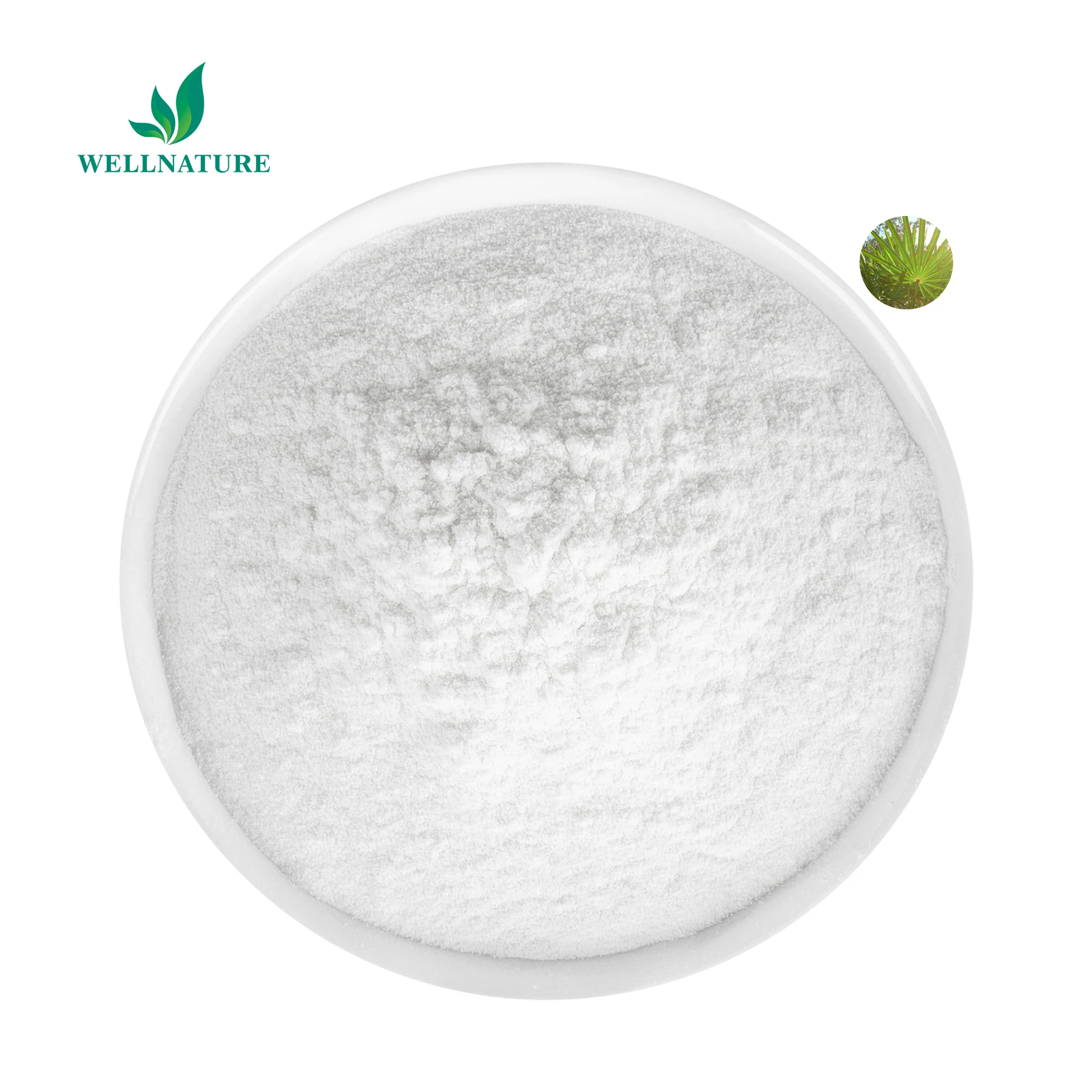 Natural Saw Palmetto Powder Extract High Quality Saw Palmetto Extract Supplier Best Price Palma Enana Americana Free Sample