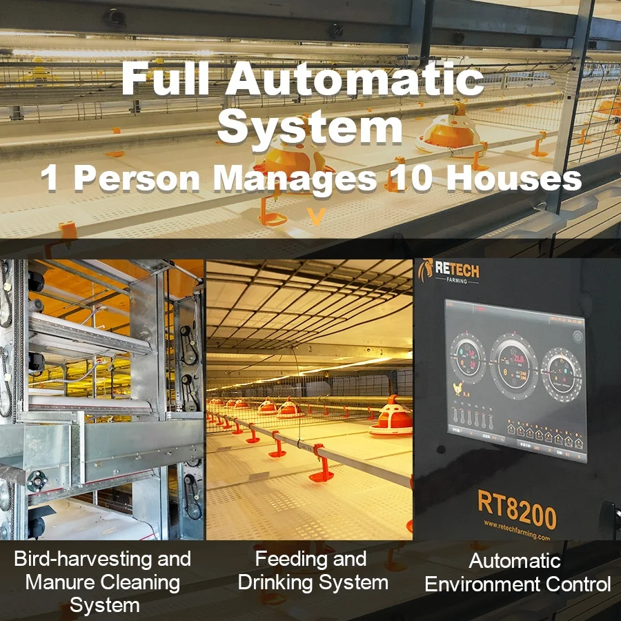 Hot Selling Fully Automated Broiler Battery Chicken Cage System for poultry farm
