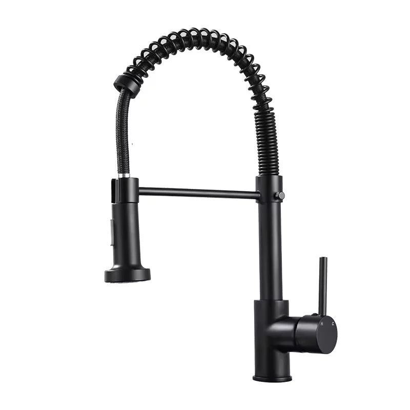 Modern Brass Pull Out Sprayer 2 Ways Single Handle Kitchen Sink Mixer Tap Spring Pull Out Kitchen Faucet