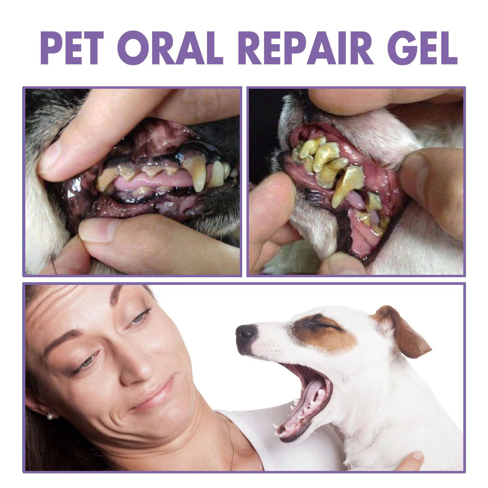 2024 Hot Pet Oral Repair Gel Deep Cleaning Dog Cat Teeth Stain Oral Care