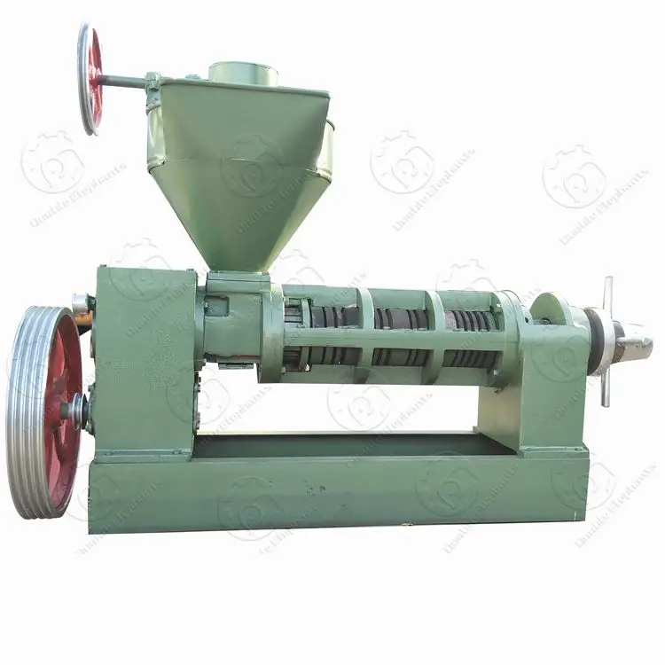 6YL-130 Palm kernel Sunflower oil press groundnut oil mill oil extraction machine
