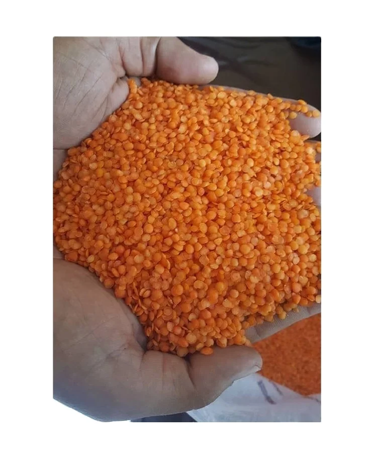 
Lentils Red, Yellow Split & Whole Green Lentils Premium Quality 